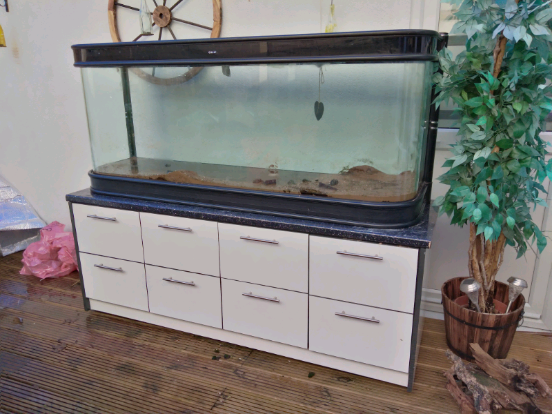 Fish tank 500L CLEAR AQUATICS in WestcliffonSea, Essex Gumtree