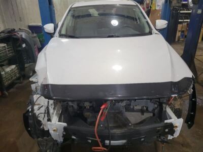 Picture 2