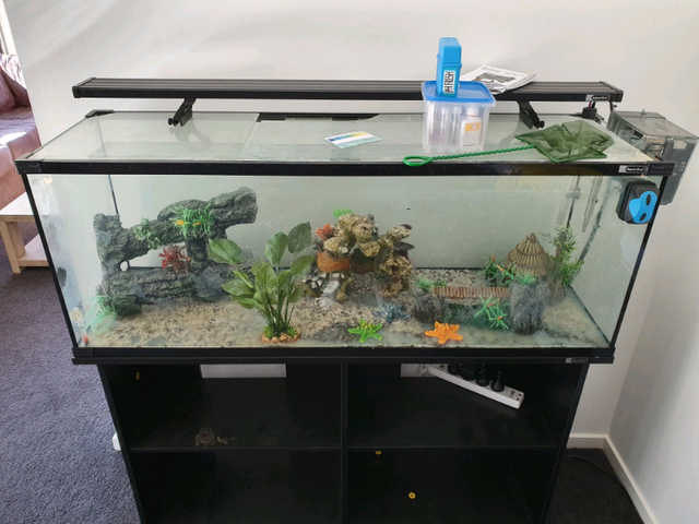 Fish tank for sale Other Home Decor Gumtree Australia