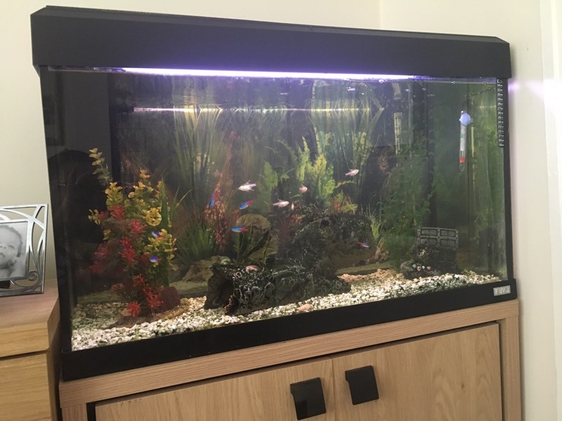 Fluval 125 litre fish tank set with unit and many accessories inc spare