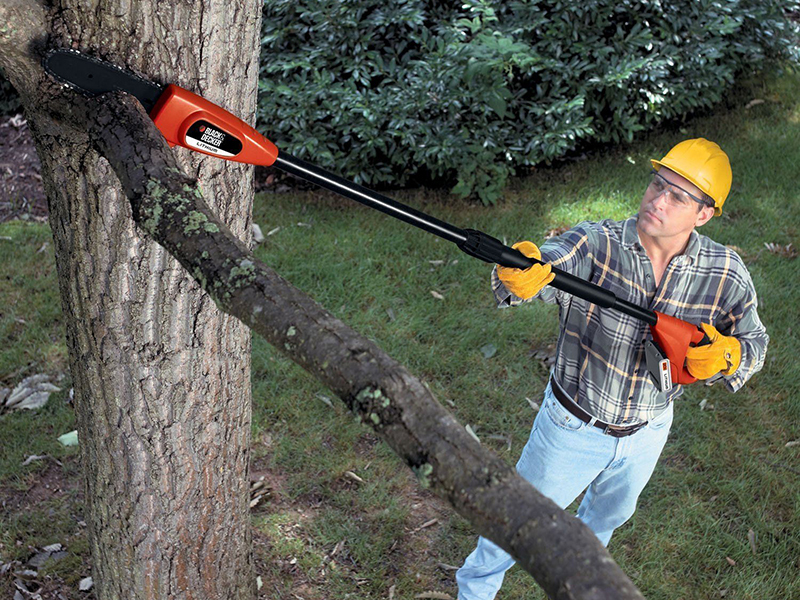 HowtoUseaPoleTreeTrimmer