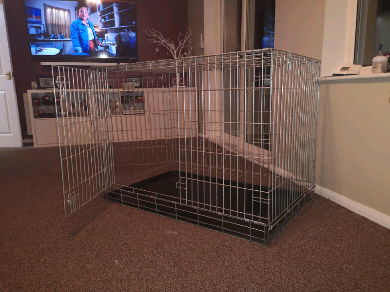 XL savic dog cage in Swindon, Wiltshire Gumtree