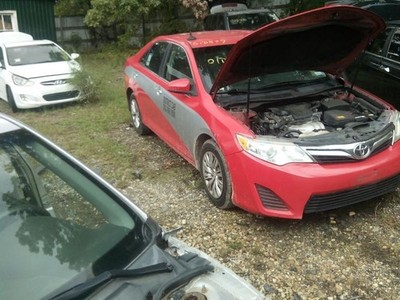 Picture 3