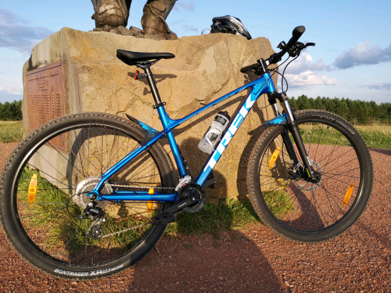 evans cycles 6 week service