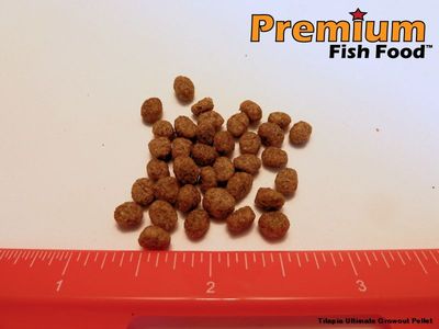 Premium Ultimate Growout Pellet Tilapia Food 20 lb LAND ANIMAL FREE aquaponics