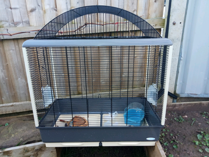 Bird Cage Avery and accessory bundle in Cinderford, Gloucestershire