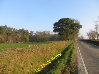 Photo 6x4 Stockland Hill Ham/ST2301 North of the transmitter mast, the r c2015