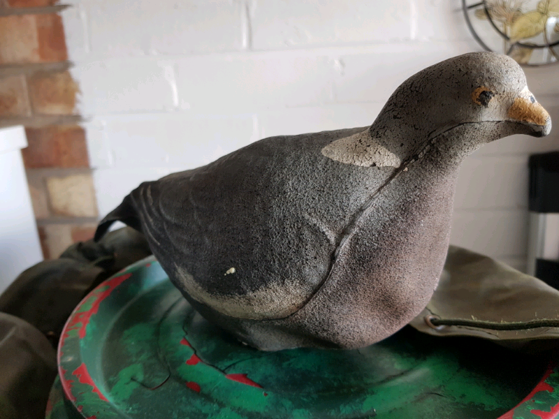 Pigeon Decoys for sale in UK | 30 used Pigeon Decoys