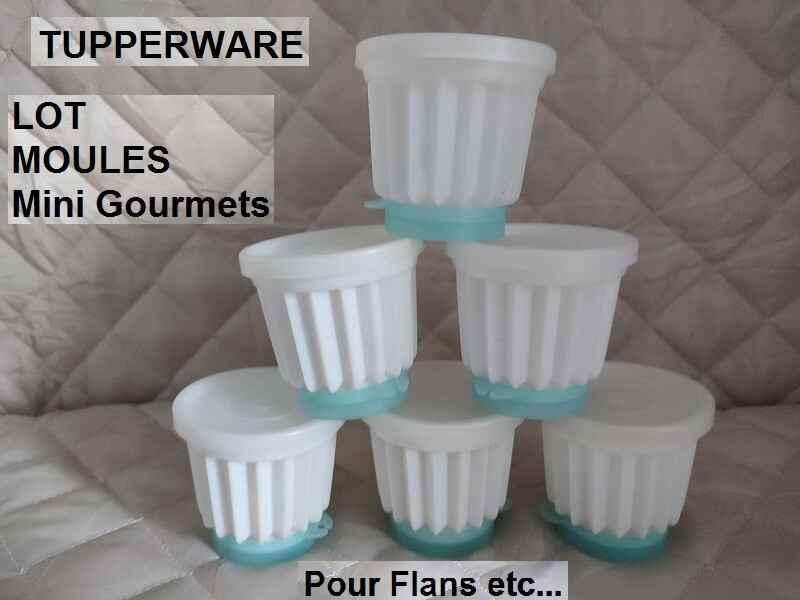 TupperwareÂ  Lot Moules Flans - Mini Gourmets - Blancs - Fonds Bleu Azur