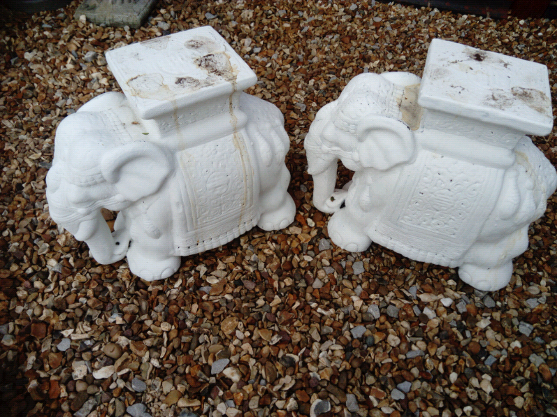 large elephant planters. indoors /outdoor in Crewe, Cheshire Gumtree