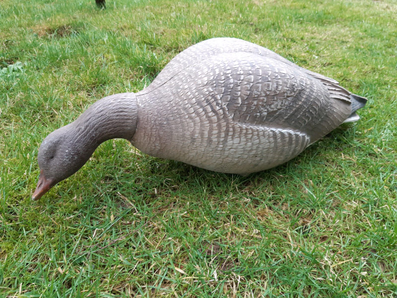 Goose Decoys for sale in UK 63 secondhand Goose Decoys