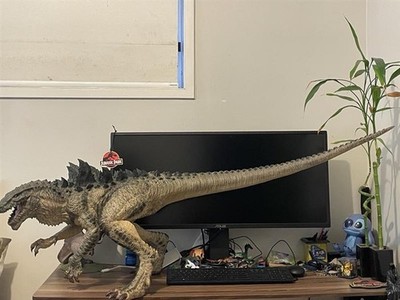 Fotos del artículo de un comprador verificado