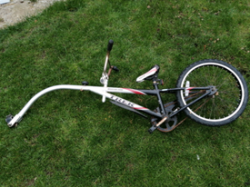 tag along bike gumtree