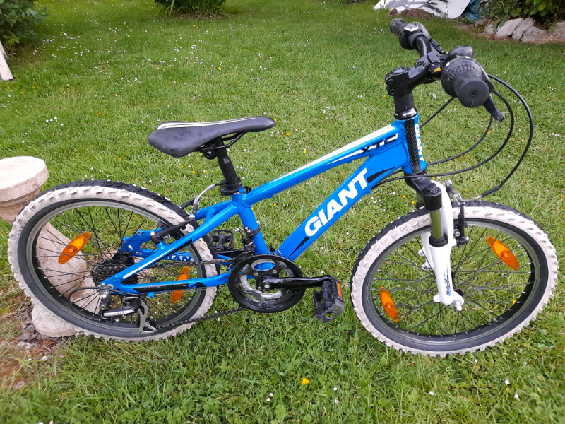 20 Giant Bike for sale in UK 33 used 20 Giant Bikes