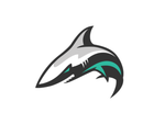 shark-corp13