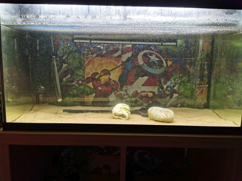 SOLD!!! 105L fish tank in Newcastle, Tyne and Wear Gumtree