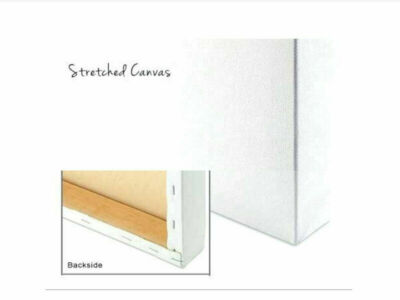 Graffiti art Einstein Mural  36 x 20  Canvas Ready to hang Custom Stretched