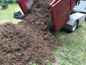 manure