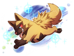 rainbowolf-fr