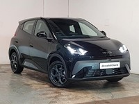 2025 BYD Dolphin Surf 65kW Boost 43kWh 5dr Auto Hatchback Electric Automatic