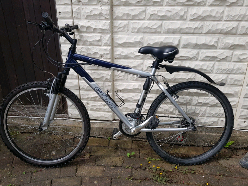 giant mountain bike used