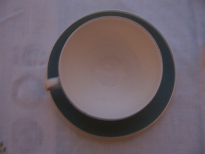 beautiful cup saucer Royal Doulton Spindrift green