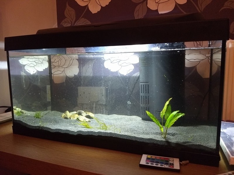 Tetra Fish Tank, Heater, Filter, Air Pump, Plants, Sand Full Set Up