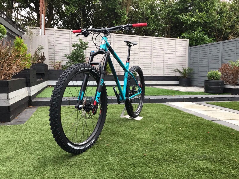 2019 ragley blue pig