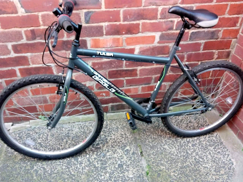 storm british eagle bike