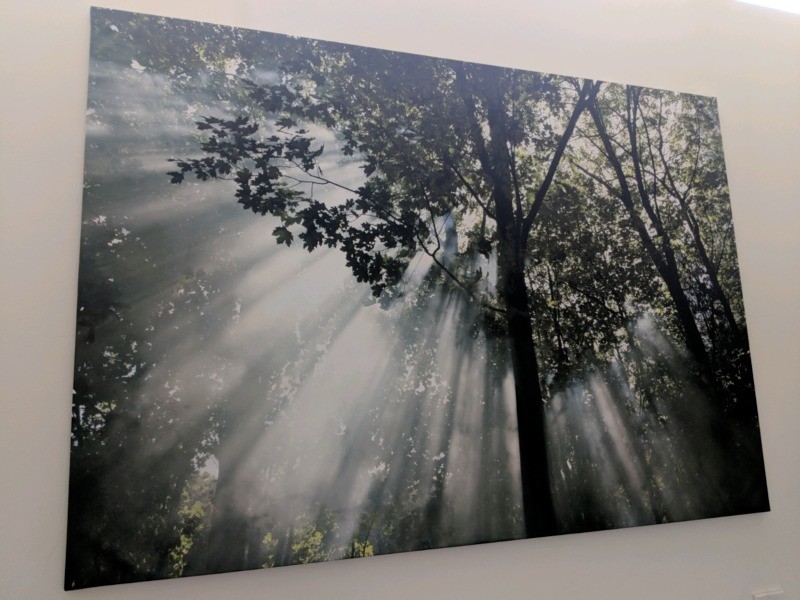 IKEA BJÖRKSTA Beautiful Canvas Art Print 200 x 140 Forest Glade