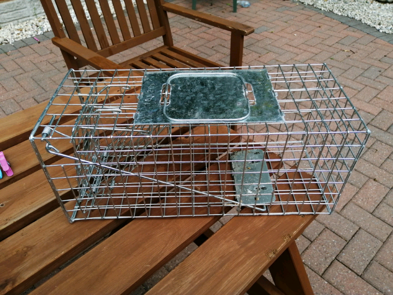 Traps for garden in good condition in Warrington, Cheshire Gumtree