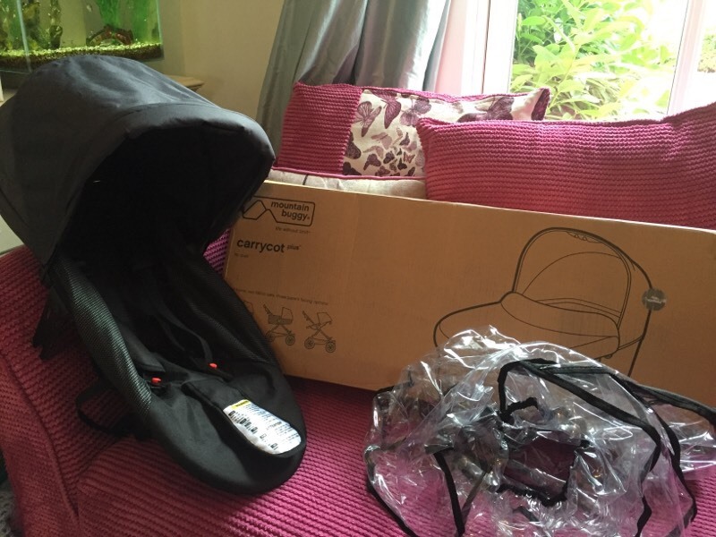 Mountain Buggy Duet Carrycot and parent facing seat in Norwich, Norfolk Gumtree