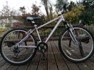 ADULTS APOLLO COMFORT MOUNTAIN BIKE IN GREAT CONDITION.