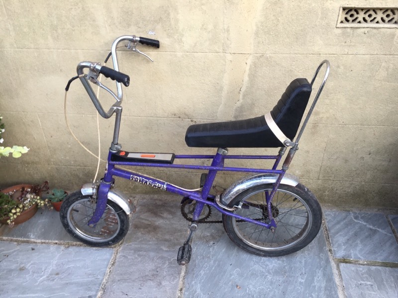 raleigh tomahawk bike