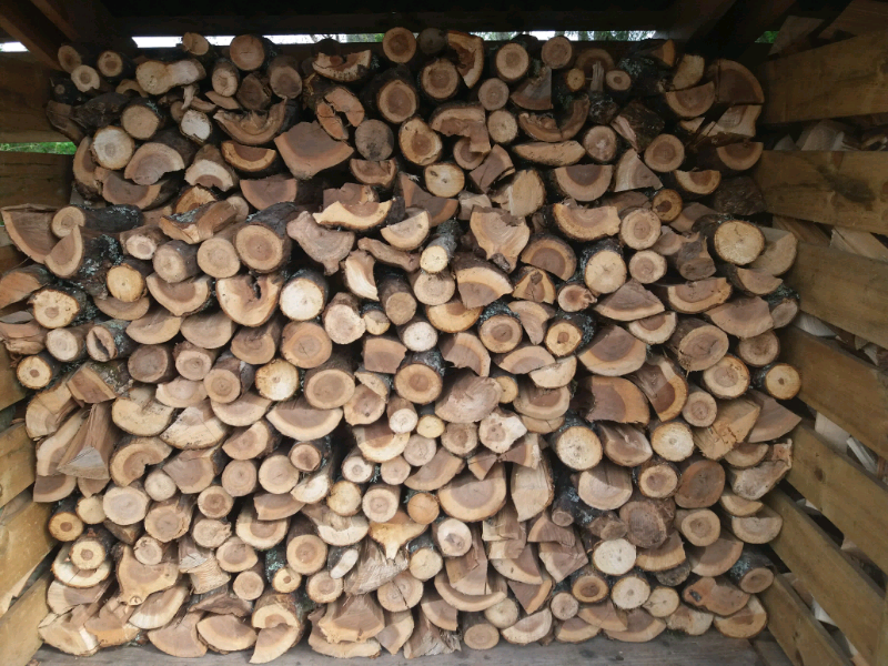 Elm Hardwood Firewood in Inverness, Highland Gumtree
