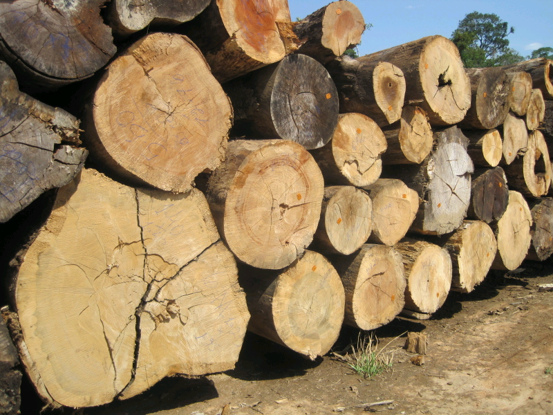 WANTED Hardwood logs for firewood in Lanark, South Lanarkshire Gumtree