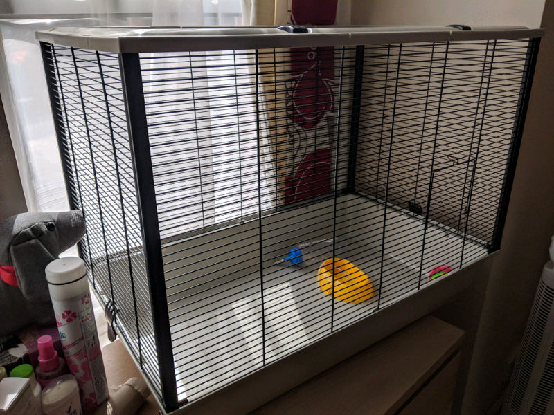 Large rat cage in Bournemouth, Dorset Gumtree