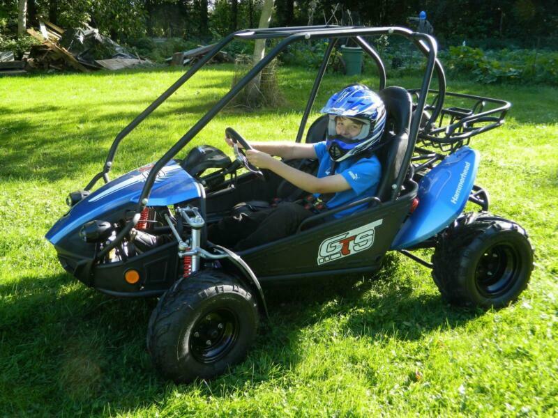 Petrol Buggy for sale in UK 62 used Petrol Buggys