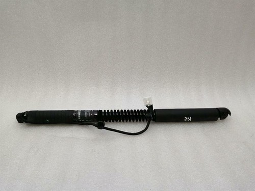 TESLA MODEL X P100D Door Strut 1063440-00-D HECKLAPPE Stoßdämpfer Hinten Tür