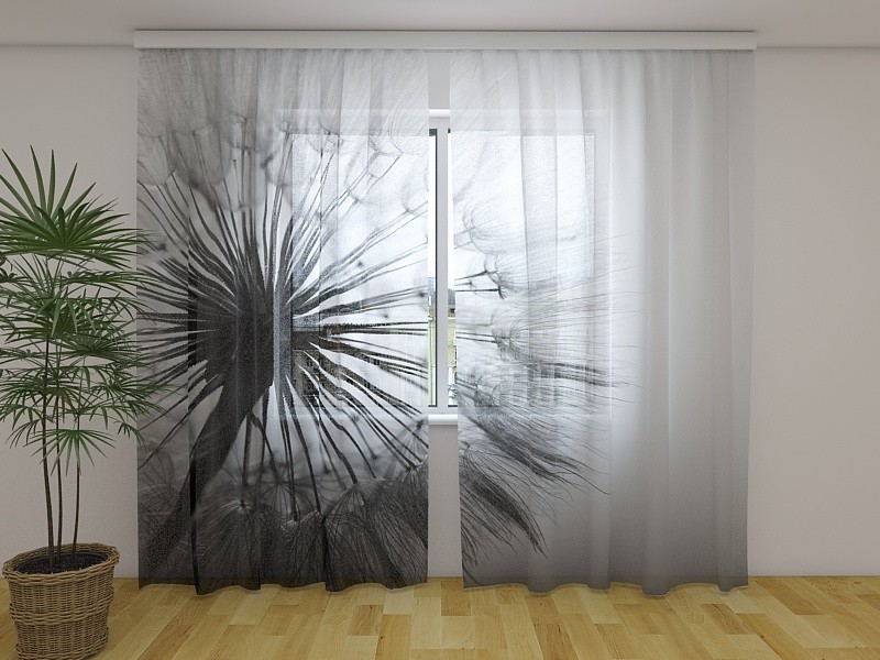 Fotogardinen Fotovorhang "Löwenzahn" Curtain Vorhang