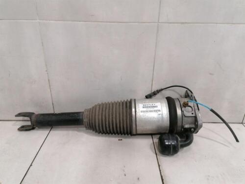 BENTLEY FLYING SPUR Shock Absorber Rear 3W5616002C Stossdämpfer Hinten Rechts