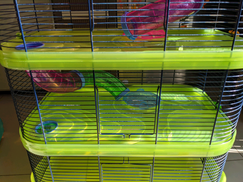 Large Gerbil Cage for sale in UK View 71 bargains