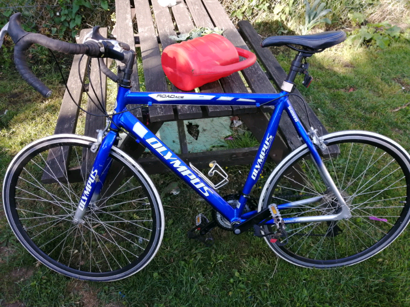 olympus sport tornado spin bike