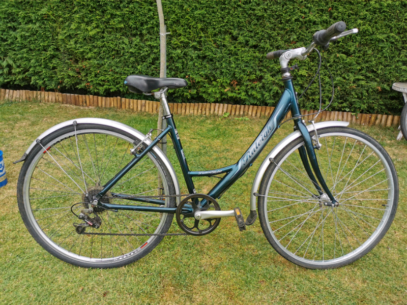 raleigh pioneer 140 ladies bike