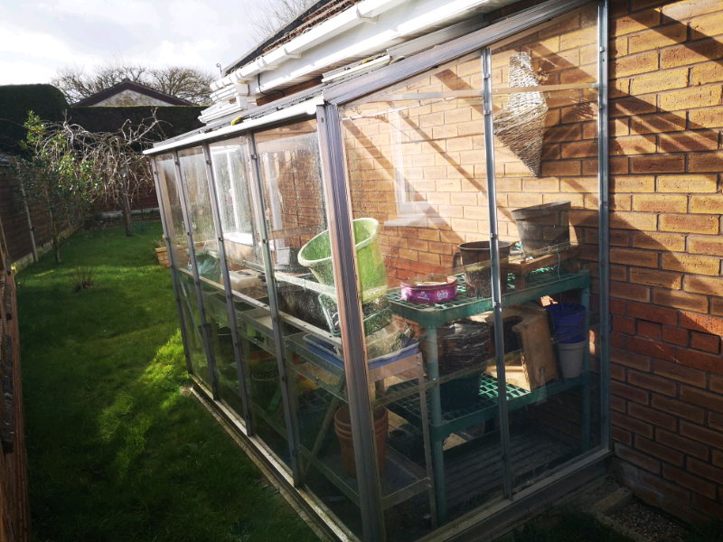 Leanto greenhouse in Kirton Lindsey, Lincolnshire Gumtree