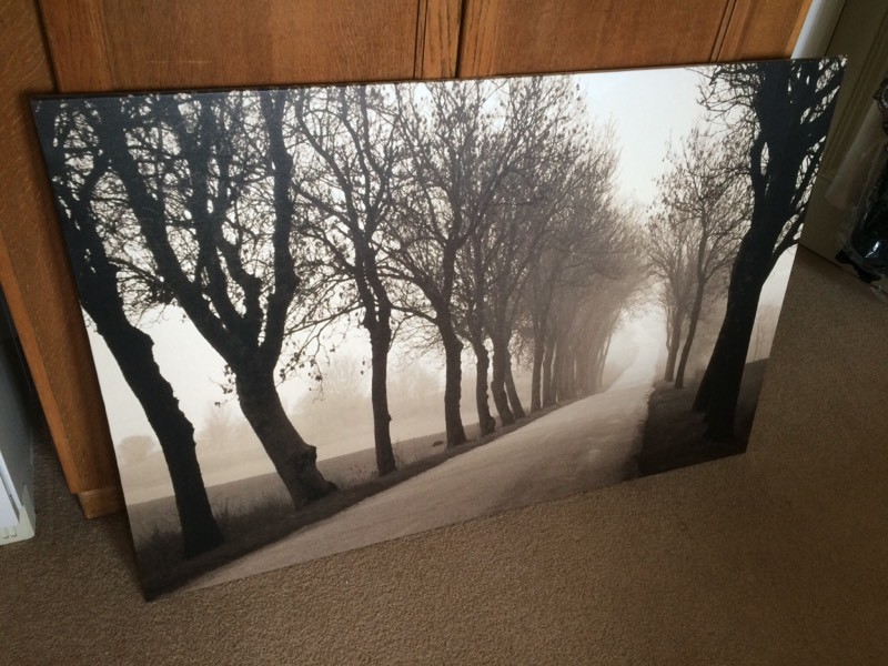 Large Ikea Canvas Print ‘Misty Road’ in Melbourne, Derbyshire Gumtree