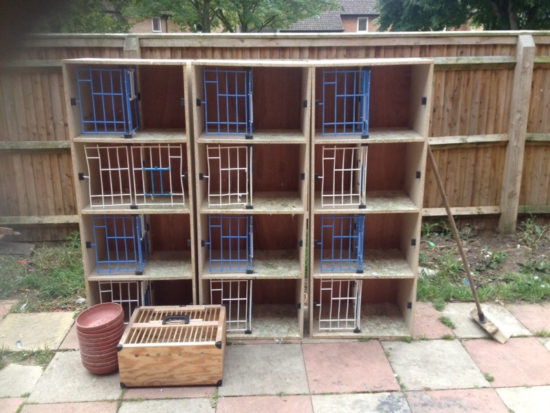 Racing pigeon widowhood boxes in Aylesbury, Buckinghamshire Gumtree