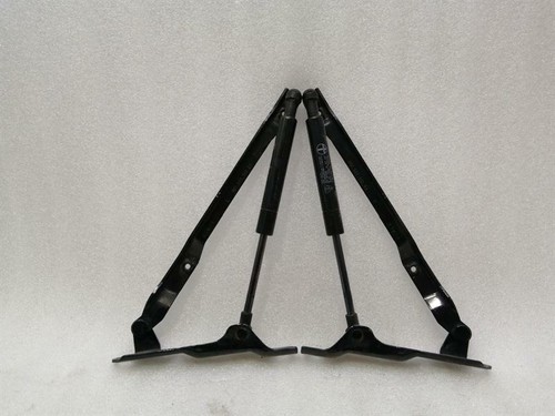 PORSCHE 911 997 Bonnet Hinge Set 99751115101 Haubenscharnier Satz