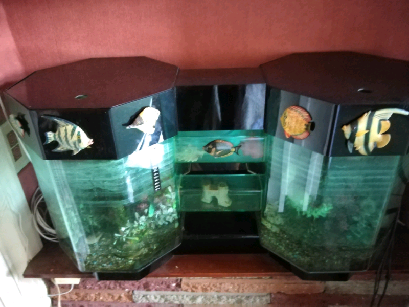 Custom Fish Tanks for sale in UK View 63 bargains