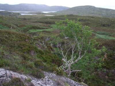 Photo 6x4 Looking down Allt Bholgair from the deer fence Taobh a Tuath Lo c2009